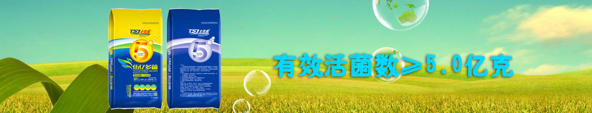 首页底部广告图片